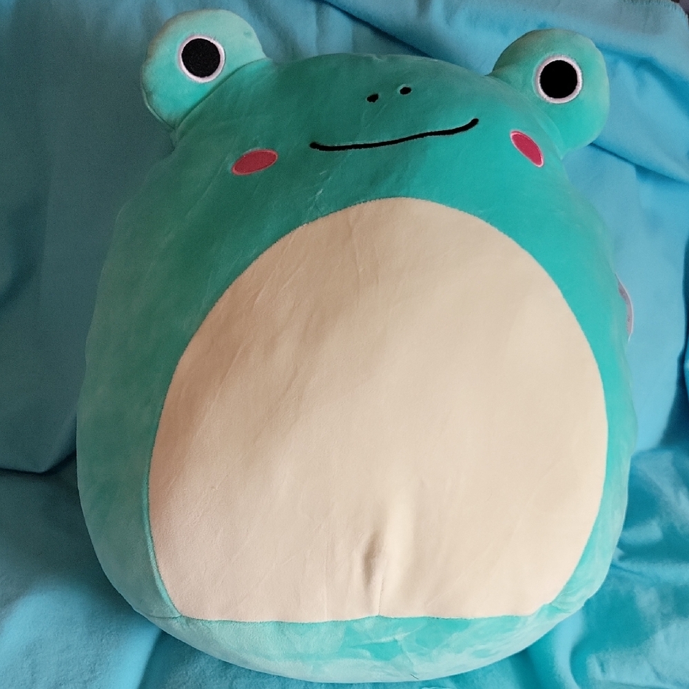 🆕️ Squishmallows 14in Robert the Aqua frog